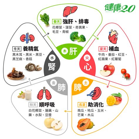 食物 五行|四季的五行属性及食物搭配